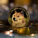Doge Miner Explores Cryptocurrency Fun